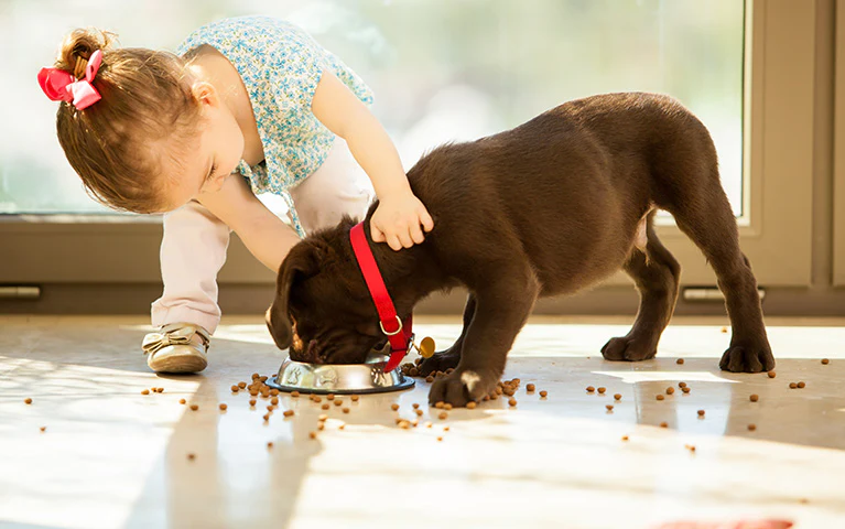 Daha Güçlü Bağışıklık Sistemi